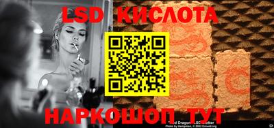 spice Кимры