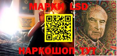 мдпв Кингисепп