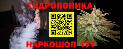 spice Кимры
