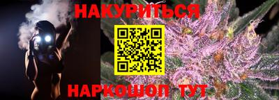 мдпв Кингисепп