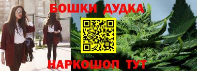 мдпв Кингисепп