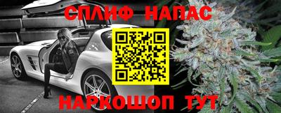 spice Кимры