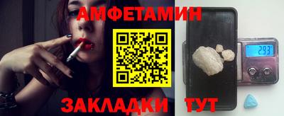 мдпв Кингисепп