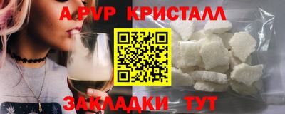 мдпв Кингисепп