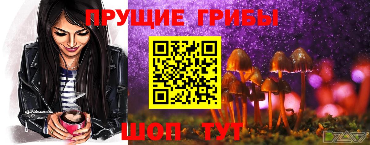 Знаменск  Псилоцибиновые грибы мухоморы  Вход с VPN 